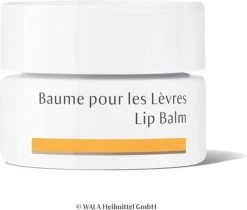 Dr. Hauschka Dr. Hauschka Lip Balm 4,5 Ml -Cosmetic Verkoop 1200x1018 2