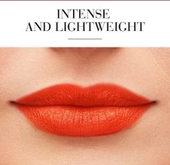 Lippenstift Rouge Fabuleux Bourjois -Cosmetic Verkoop 1200x1167 24