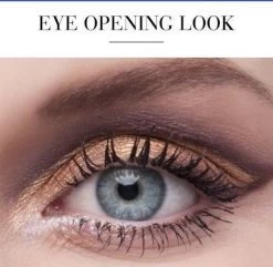 Bourjois Eye Catching Oogschaduw Palette - 3 Eye Catching Nude -Cosmetic Verkoop 1200x1170 16