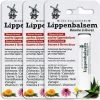 Oud Hollandsche Lippenbalsem /Lippenbalsem/calendula/echinacea/lysine/aloe/aloevera/aloe Vera/teunisbloem/vitamine E/droge Lippen/lipblaasjes/gesprongen Lippen -Cosmetic Verkoop 1200x1195 28