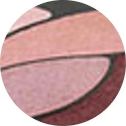 L’Oréal Paris Color Riche Les Ombres Quad - E6 Eau De Rose - Oogschaduw -Cosmetic Verkoop 1200x1199 10