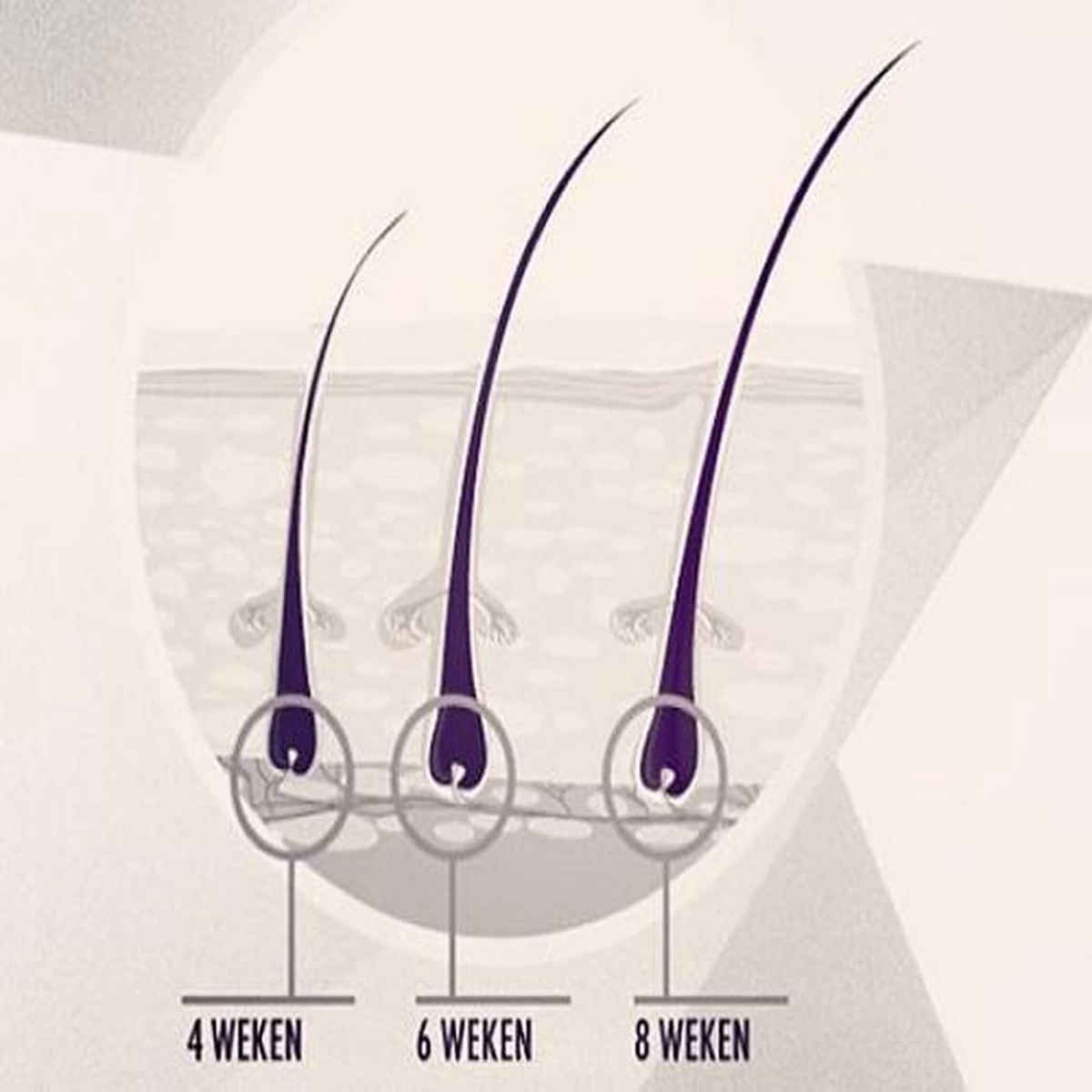 Rock&Rose Lash Serum - Wimper Serum - Inclusief Gratis Mascara 7 Rock&Rose Lash Serum - Wimper Serum - Inclusief Gratis Mascara - Afbeelding 5