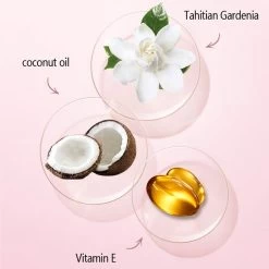 Palm Brow Styling Soap - 100% Vegan - Wenkbrauw Styling Zeep - Wenkbrauwgel Met Langdurig Effect – Veilig En Natuurlijk – Brow Shaping - Wenkbrauw Soap -Cosmetic Verkoop 1200x1200 1361