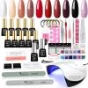 Royala D1 Gellak Starters Pakket + Inclusief UV LED Lamp + 10 Verschillende Gellak Kleuren - Gellak Lamp – Gellac Set - Alle Benodigdheden In Eén - Uitgebreid 62-Delig Pakket- Gel Polish Set - Gellak Set - UV LED Lamp -Cosmetic Verkoop 1200x1200 256