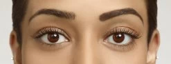 Rimmel London Brow This Way Wenkbrauwpoeder - 002 Bruin -Cosmetic Verkoop 1200x452