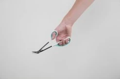 Teennagelschaar Op Lange Steel - Atlantis