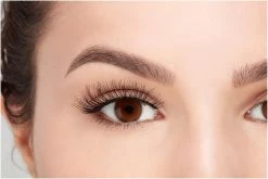 Ardell - Nepwimpers Multipack - Zwart - 5 Sets 12 Ardell - Nepwimpers Multipack - Zwart - 5 Sets -Cosmetic Verkoop 1200x800 19