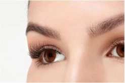 Ardell - Nepwimpers Multipack - Zwart - 5 Sets 13 Ardell - Nepwimpers Multipack - Zwart - 5 Sets -Cosmetic Verkoop 1200x802 4